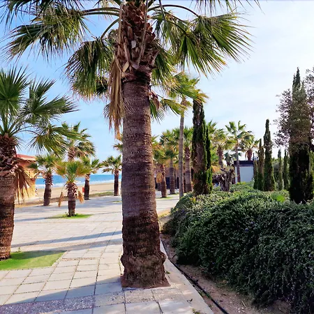 Hotell The Ciao Stelio Deluxe Boutique - Adults Only 4*